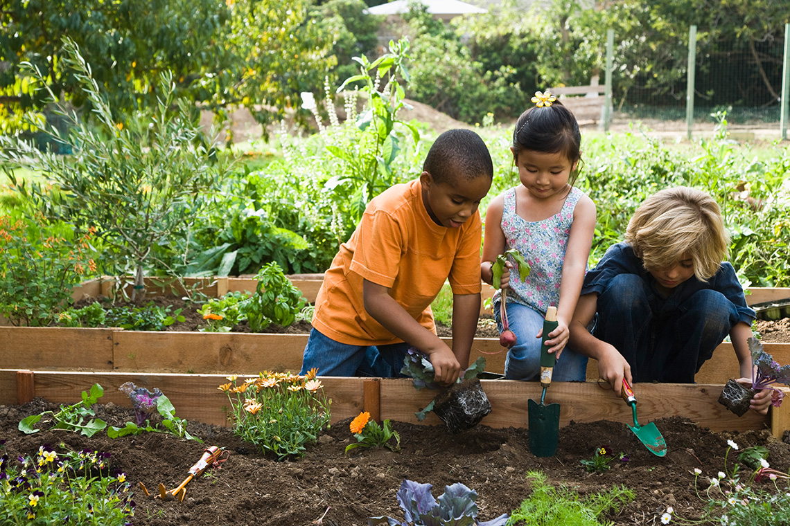 Three learners planting in a garden.